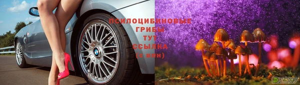 мдпв Арсеньев