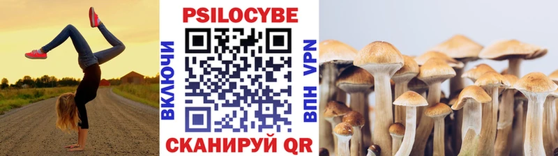 Псилоцибиновые грибы Cubensis Таштагол